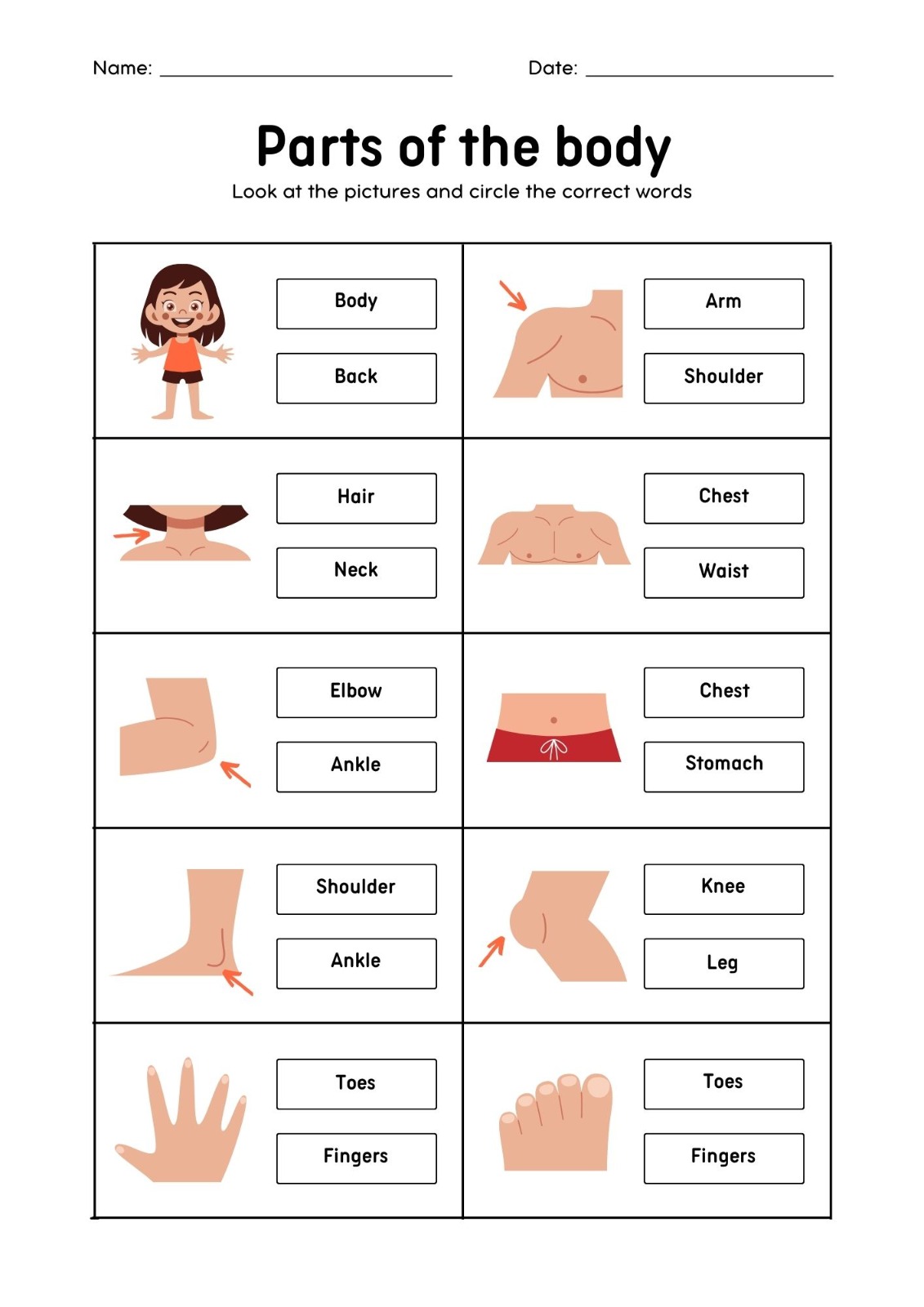 WhatsApp Image 2026-01-05 at 1.00.35 PM (1)