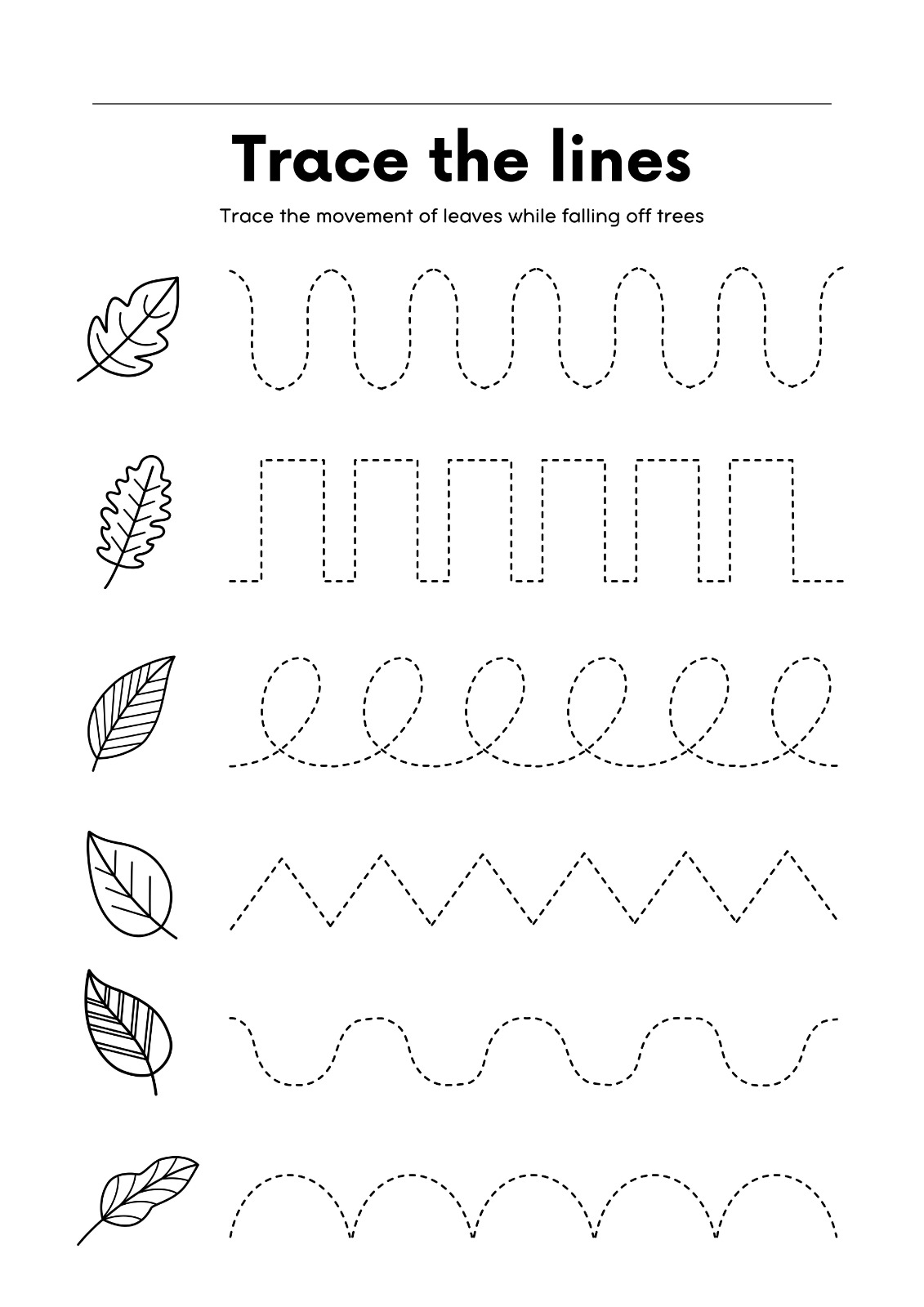 WhatsApp Image 2026-01-05 at 1.03.46 PM