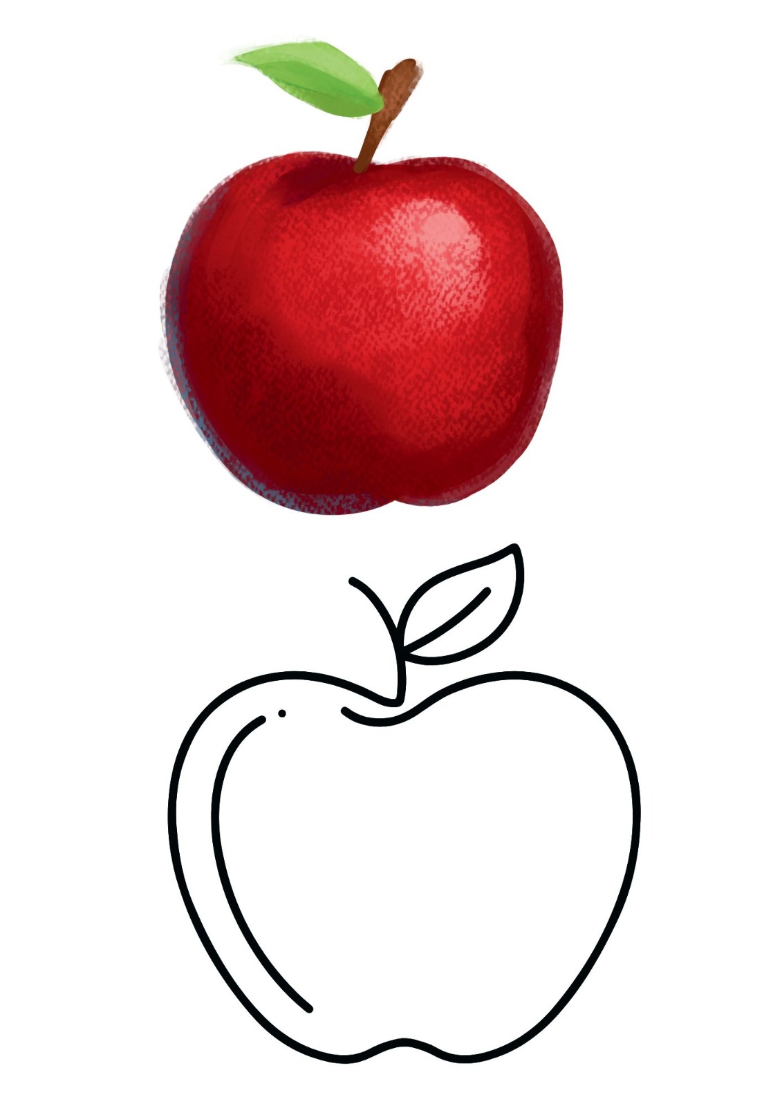 WhatsApp Image 2026-01-05 at 12.54.05 PM